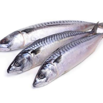 Titus Fish - 1 KG