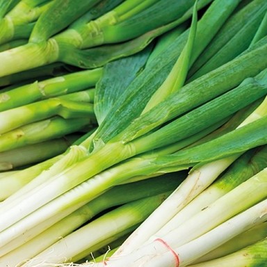 Spring Onions - 1 portion