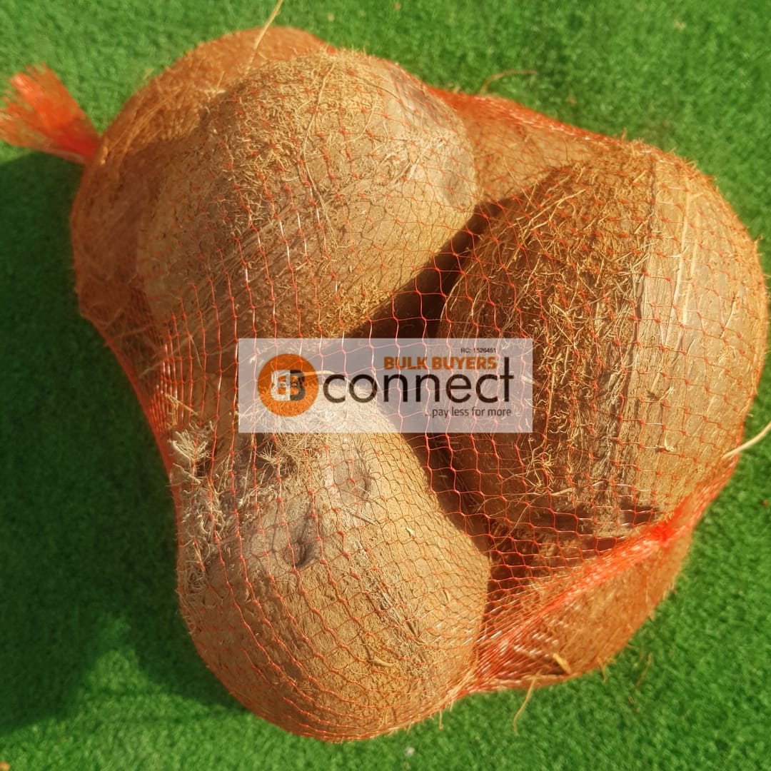 Coconut - 1 piece