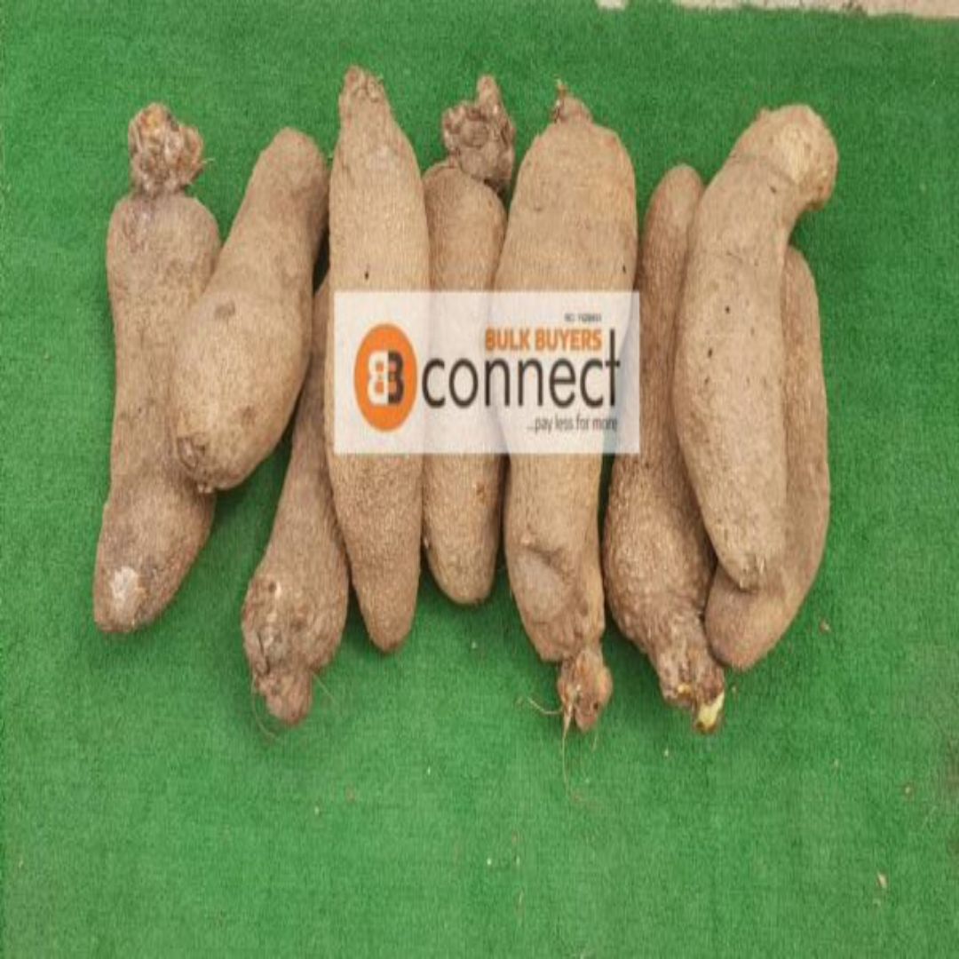 Yam - 1 set of 5