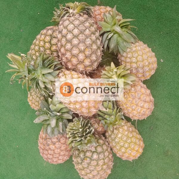 Pineapple - 1 piece