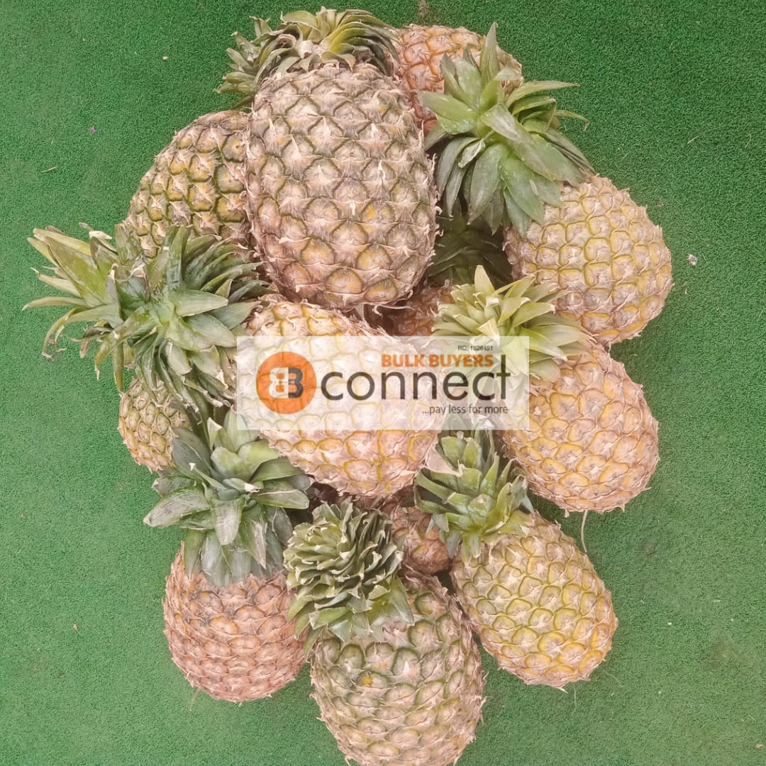 Pineapple - 1 piece