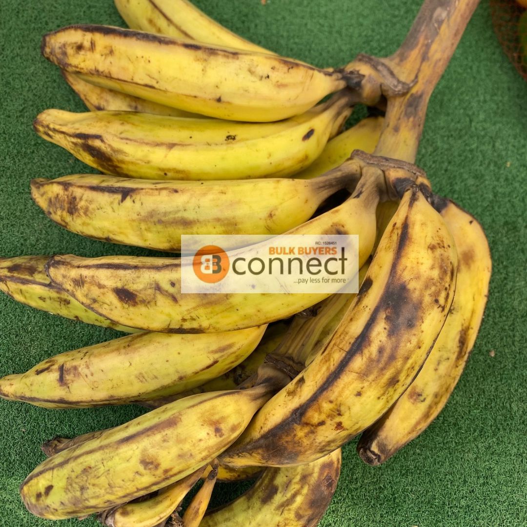 Plantain - 1 bunch