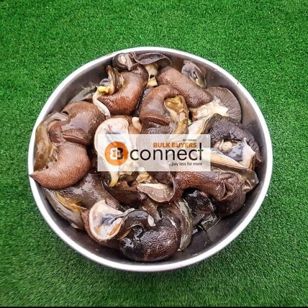 Small Snail - 1 portion