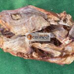 Stock Fish Head -1 piece