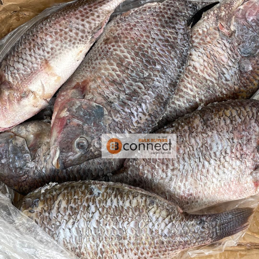 Tilapia Fish- kg