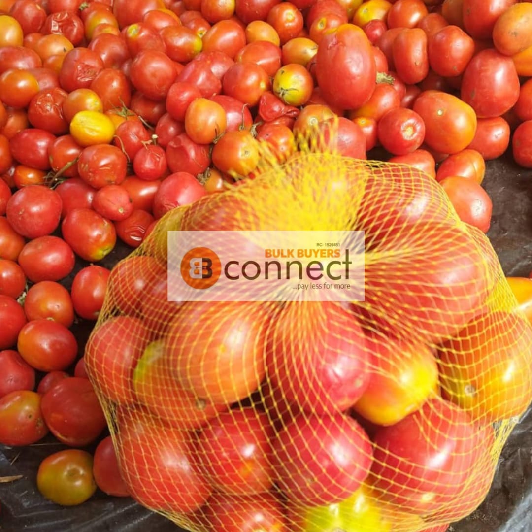 Tomatoes - 1 small basket