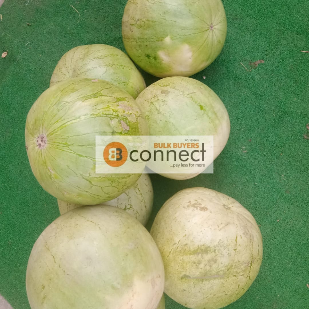 Watermelon - 1 piece