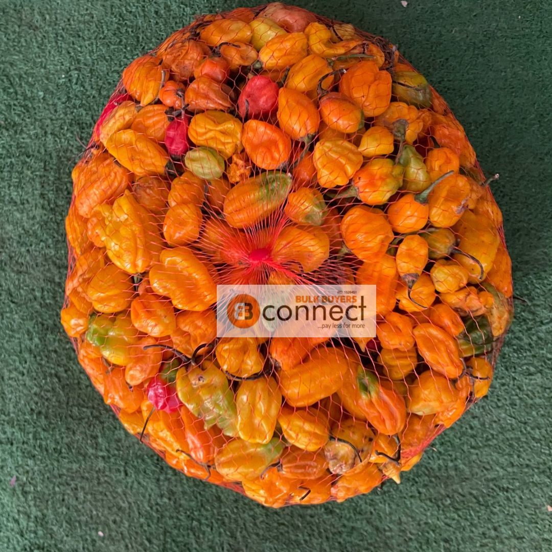 Yellow Pepper - 1 portion